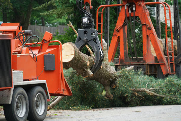 Best Emergency Tree Removal  in Brockway, PA